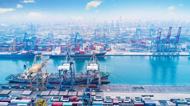 Understanding Imports, Their Benefits, and Types