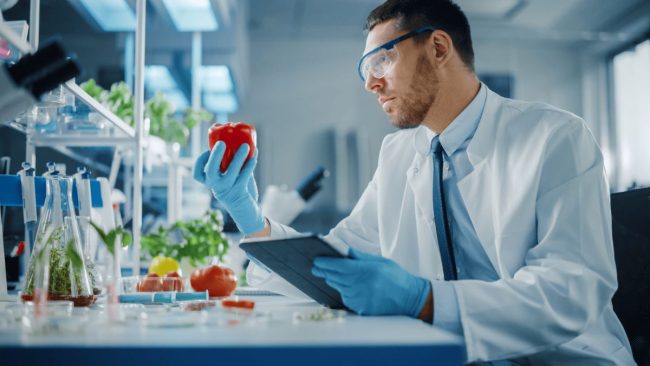 Food Safety Management System Based on ISO 22000:2018