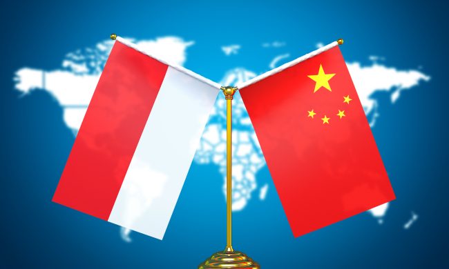 5 Most Popular Products to Import into Indonesia via IOR from China in 2025