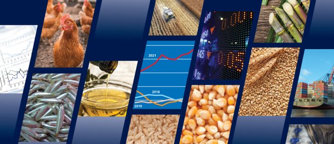 Thinking About Importing Food to Indonesia? Here’s What You Should Know About the Import License