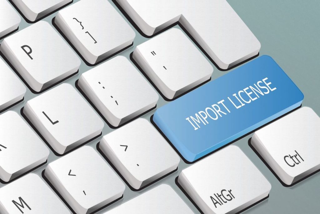 Choosing Between Self-Application and Professional Import License Help