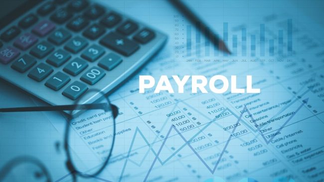 Efficient Payroll Processing and Employee Management Services: Streamline Your Business Operations